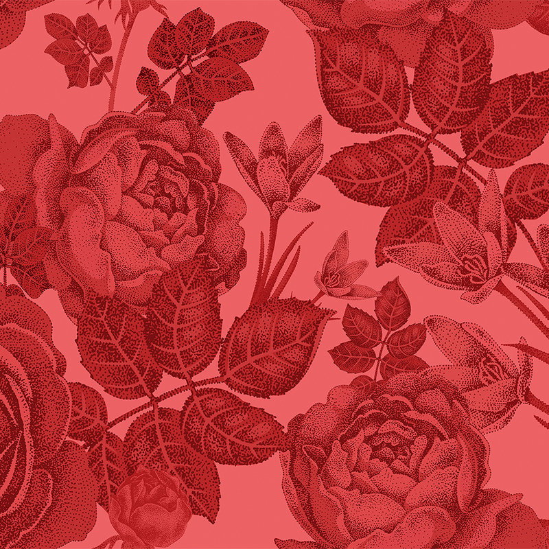 Fotomural Walls by Patel - Floral mural roses on a bush - red