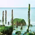 Fotomural Sea mural breakwater green rock & calm sea - AP Digital 3