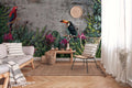 Fotomural AP Contract - Tucan