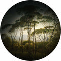 Fotomural DD Motive 2 - Umbrella Pines