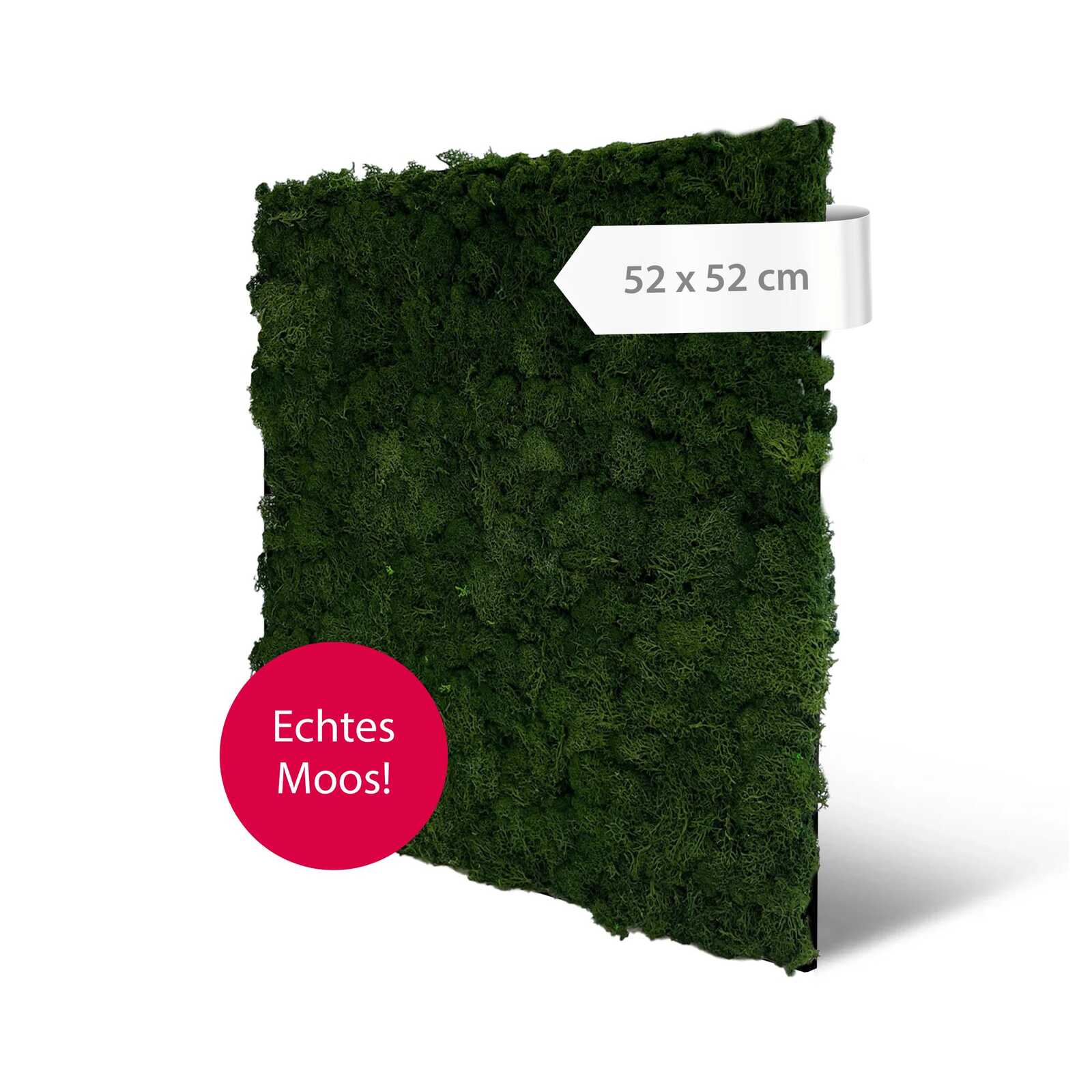 Panel de Musgo Natural Nature Green - Modular Wall - Foto 4