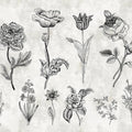 Fotomural Walls by Patel - Photo wallpaper flowers in drawing style - white, black