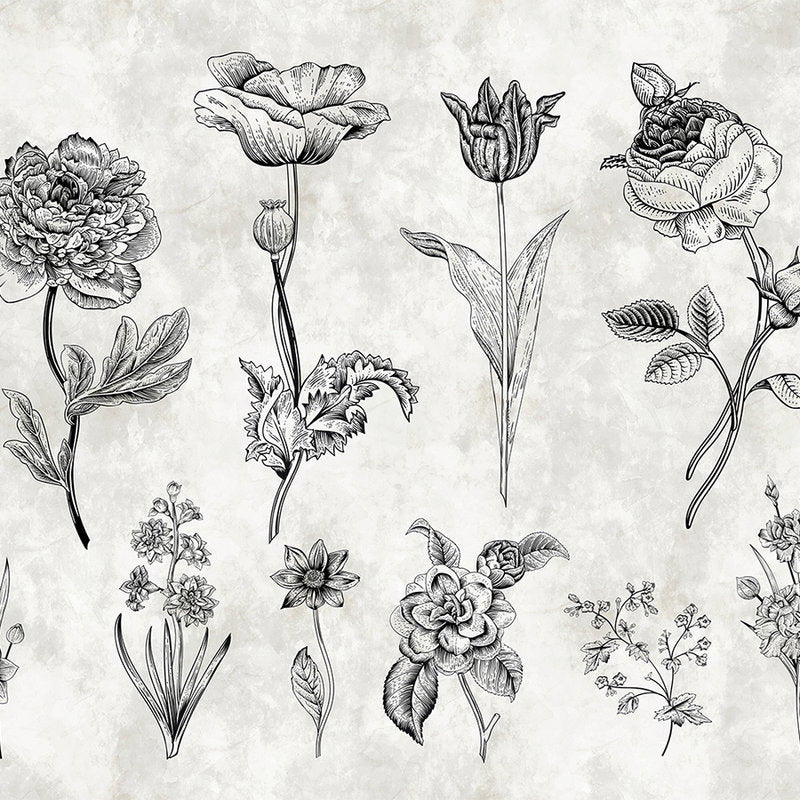 Fotomural Walls by Patel - Photo wallpaper flowers in drawing style - white, black