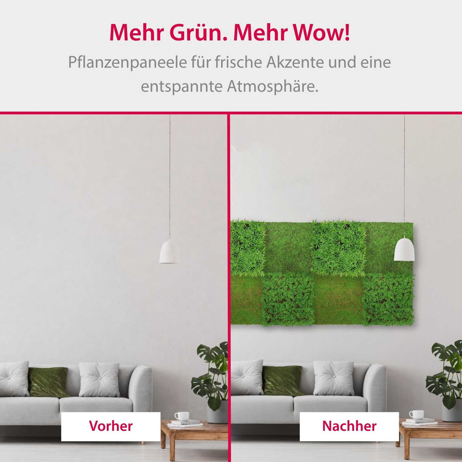 Panel Vegetal Podocarpus Tea Tree - Modular Wall - Foto 7