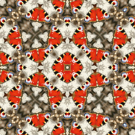 Fotomural AP Digital 1 - Flying Peacock