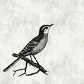 Fotomural Walls by Patel - Bird drawing look mural with plaster look - White, Black