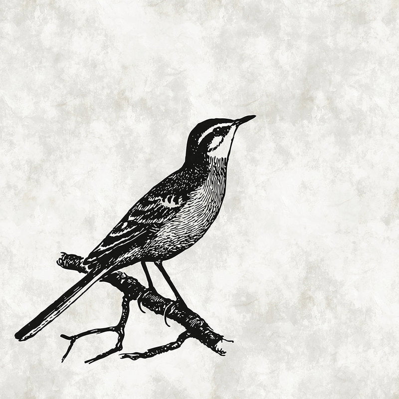 Fotomural Walls by Patel - Bird drawing look mural with plaster look - White, Black