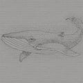 Fotomural Walls by Patel - Photo wallpaper whale in drawing style on 3D stone wall