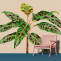Fotomural Walls by Patel - Leaf Garden 4 - mural tropics plant green leaves