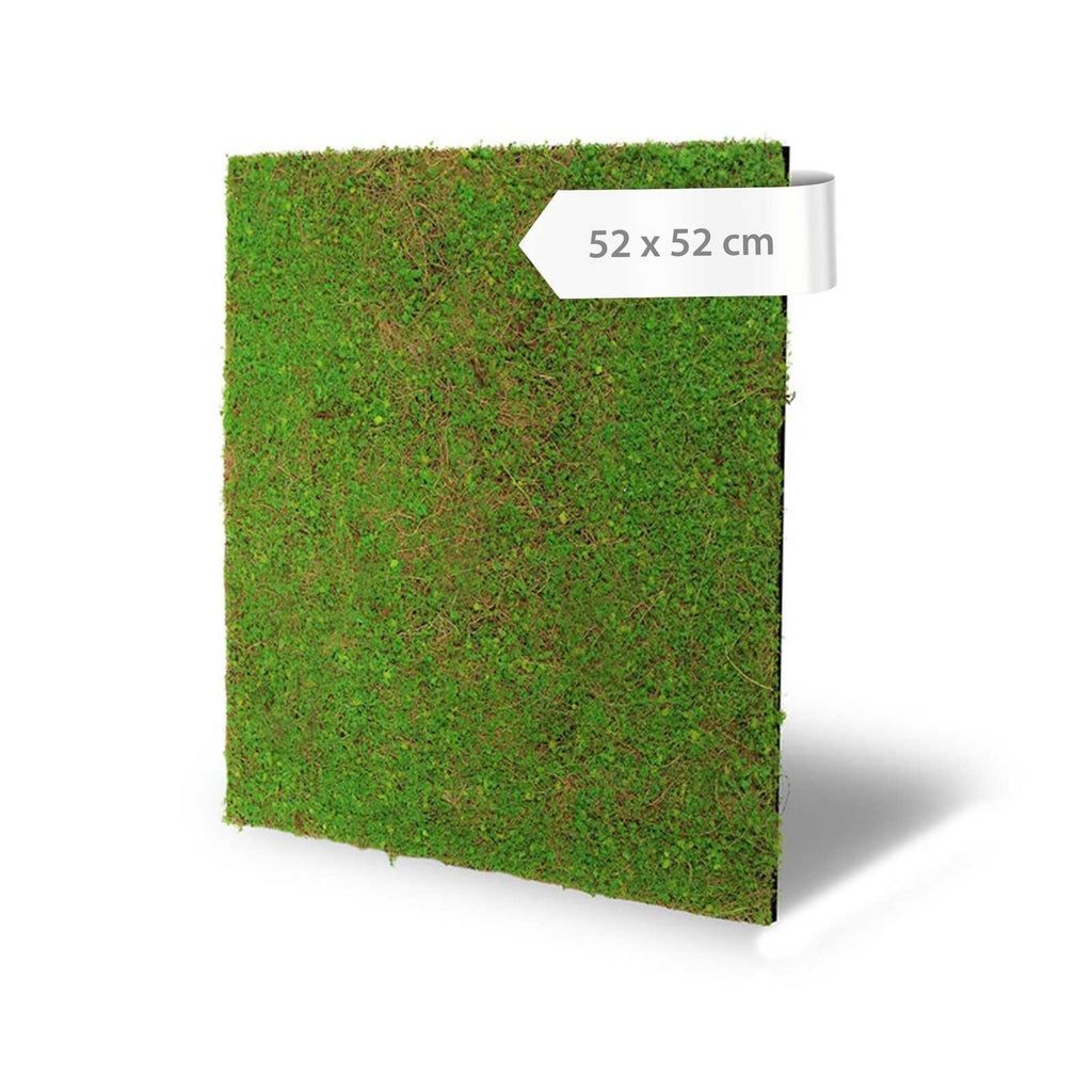 Panel Modular Wall - Light Green Coconut 52 x 52 x 2 cm (13668-1) - Imagen 6