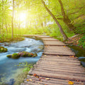 Fotomural Panel XXL 5 - Nature wall mural river in the forest with wooden bridge on premium smooth non-woven