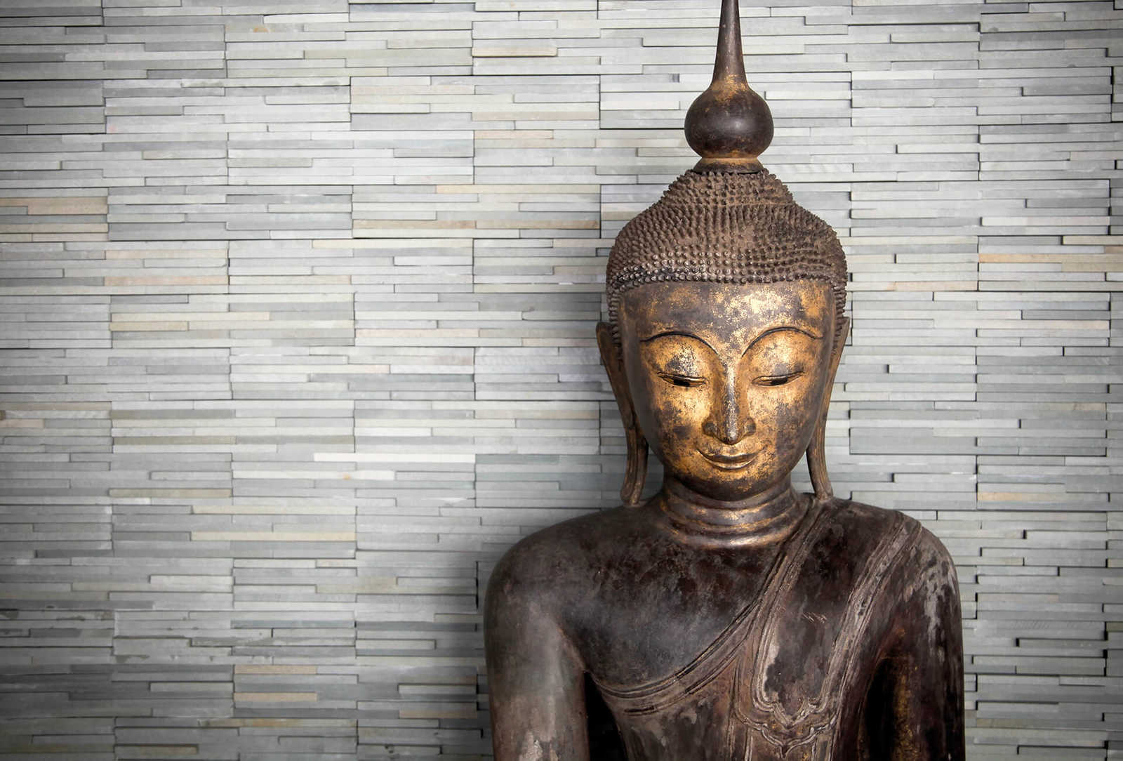 Fotomural Photo wallpaper Buddha with plain colours - DD Motive 2