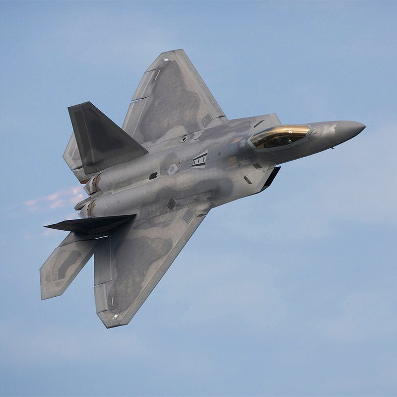 Fotomural XXL 2 - F22 Raptor