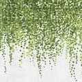 Fotomural Walls by Patel - Hanging Garden 1 - Wallpaper Leaves and Tendrils, Hanging Garden in Concrete Structure - Grey, Green