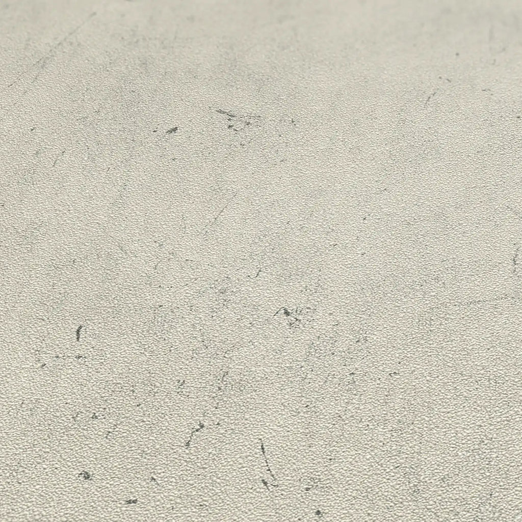 Hochwertige Vliestapete Beige Betonoptik