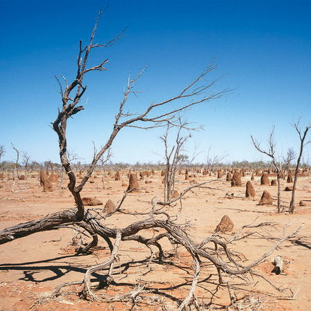 Fotomural Australian outback mural motif desert & sky - AP Digital 1