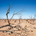 Fotomural Australian outback mural motif desert & sky - AP Digital 1