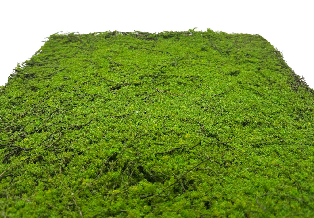Panel Vegetal Forest Green Ancient Tree - Modular Wall - Foto 4