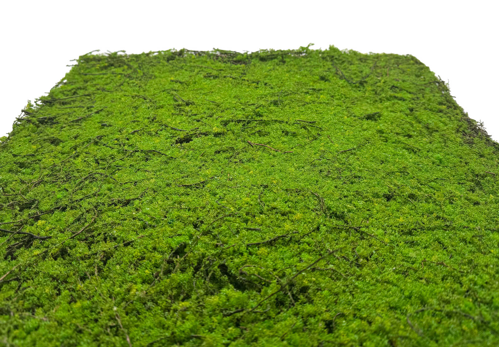 Panel Modular Wall - Forest Green Ancient Tree 53 x 52 x 2 cm (13668-2) - Imagen 4