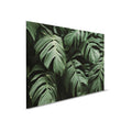 Cuadro hojas selva tropical primer plano