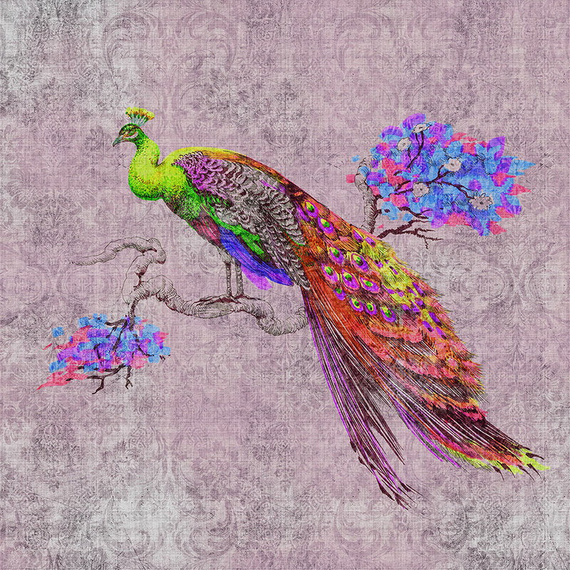 Fotomural Walls by Patel - Peacock 2 - Photo wallpaper with peacock motif & ornament pattern in natural linen structure - Green, Pink