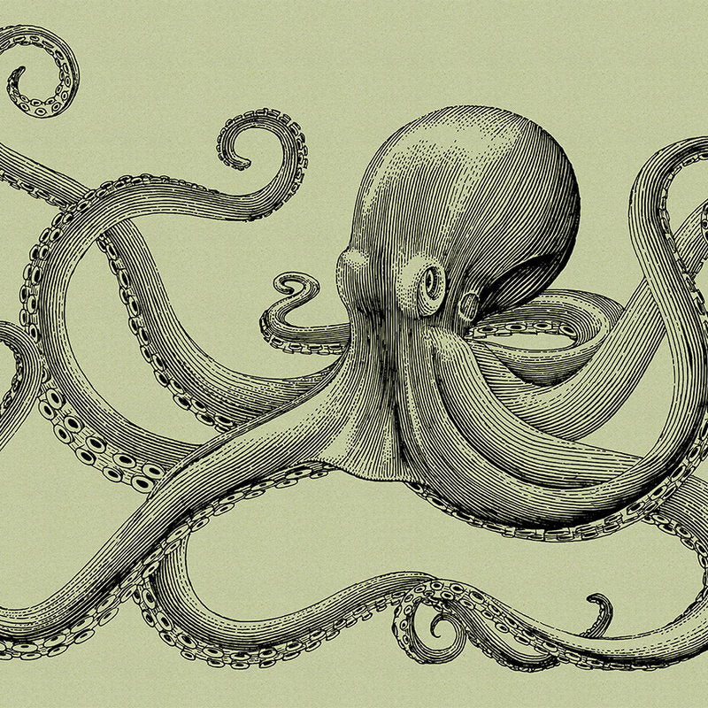 Fotomural Walls by Patel - Jules 3 - Octopus Wallpaper Sketch Style & Vintage Look- Cardboard Texture - Green, Black