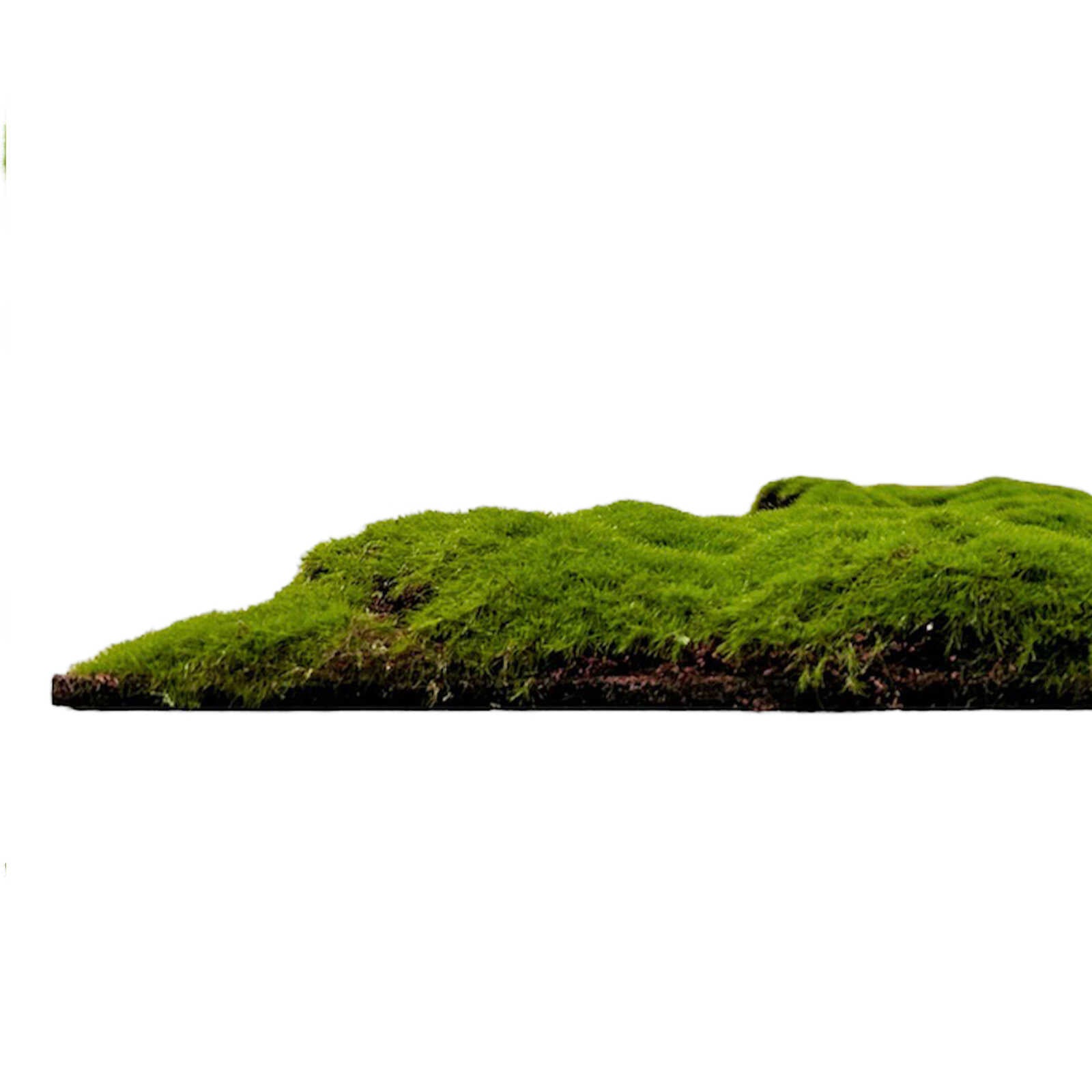 Panel de Musgo de Diseno Forest Green Bulk - Modular Wall - Foto 5
