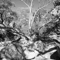Fotomural AP Digital 1 - Felsen