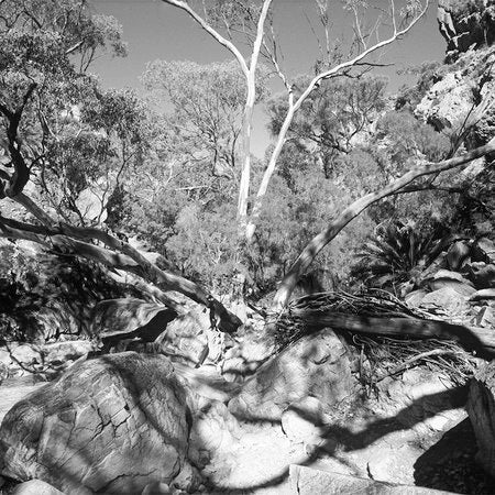 Fotomural AP Digital 1 - Felsen