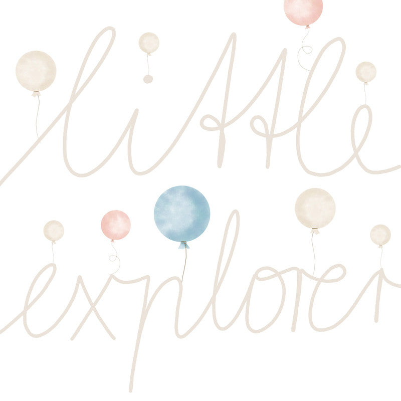 LilExplorer2