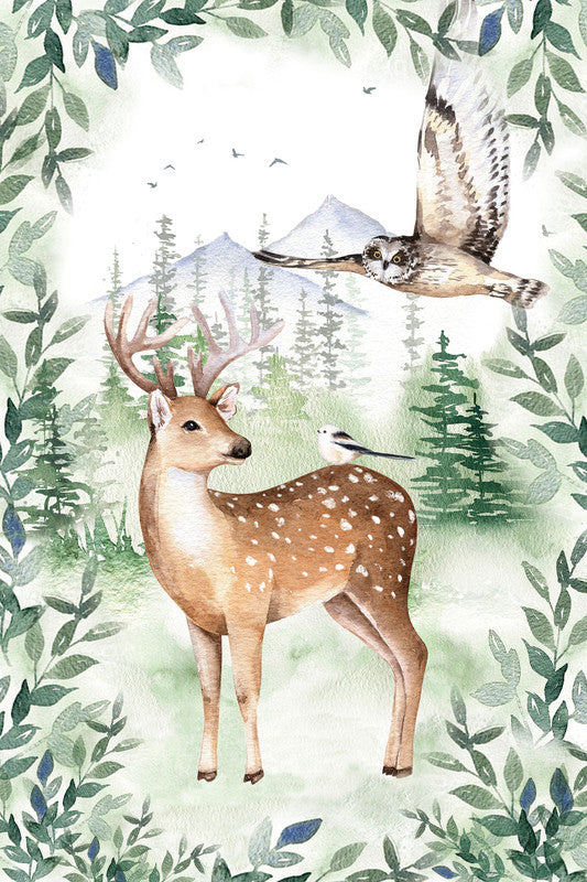 Forest Freedom