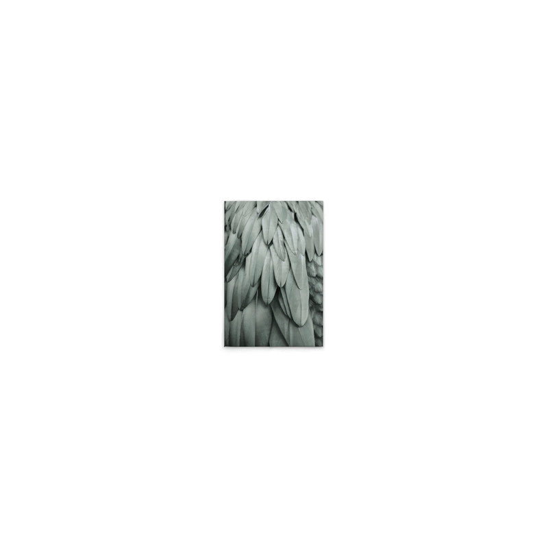 Feathers2