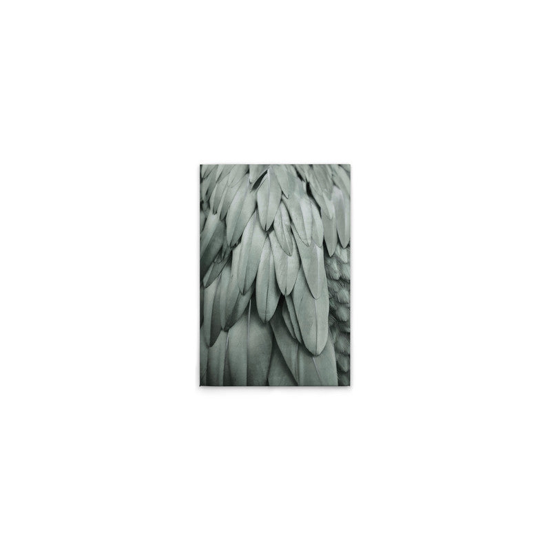 Feathers2
