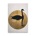 TheSwan2