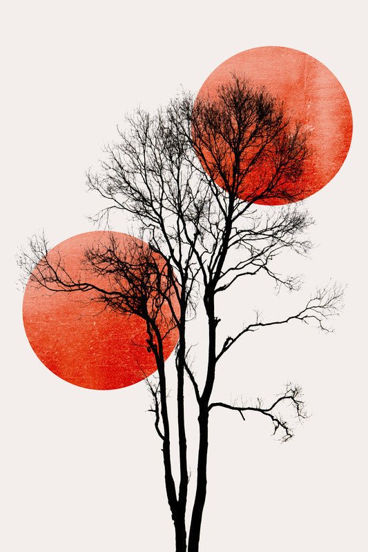 SunAndMoon