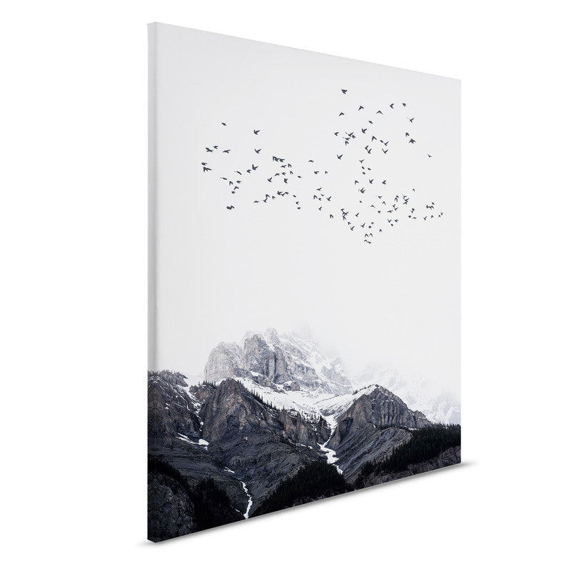 TheMountains