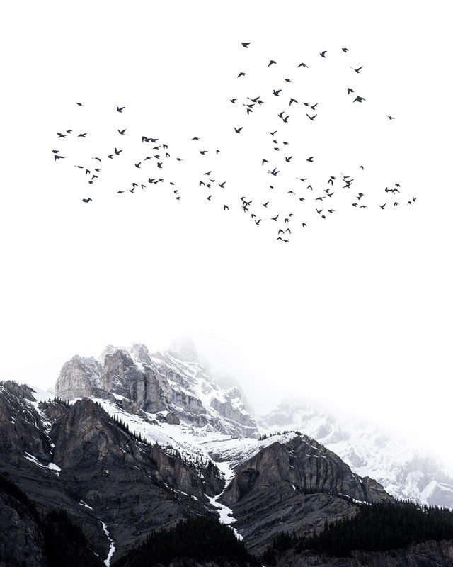 TheMountains