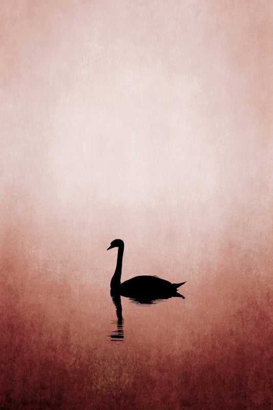 SwanLake