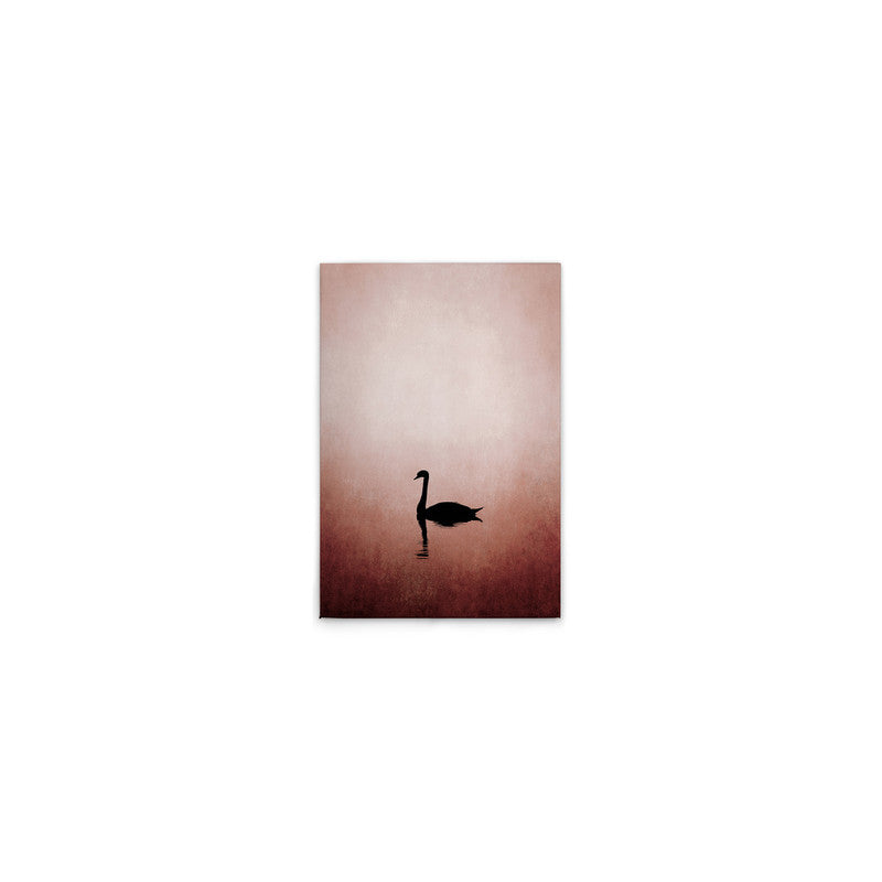 SwanLake