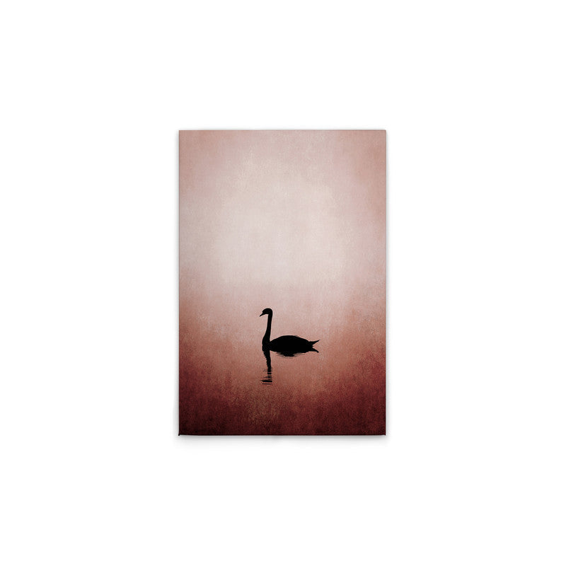 SwanLake