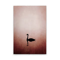 SwanLake