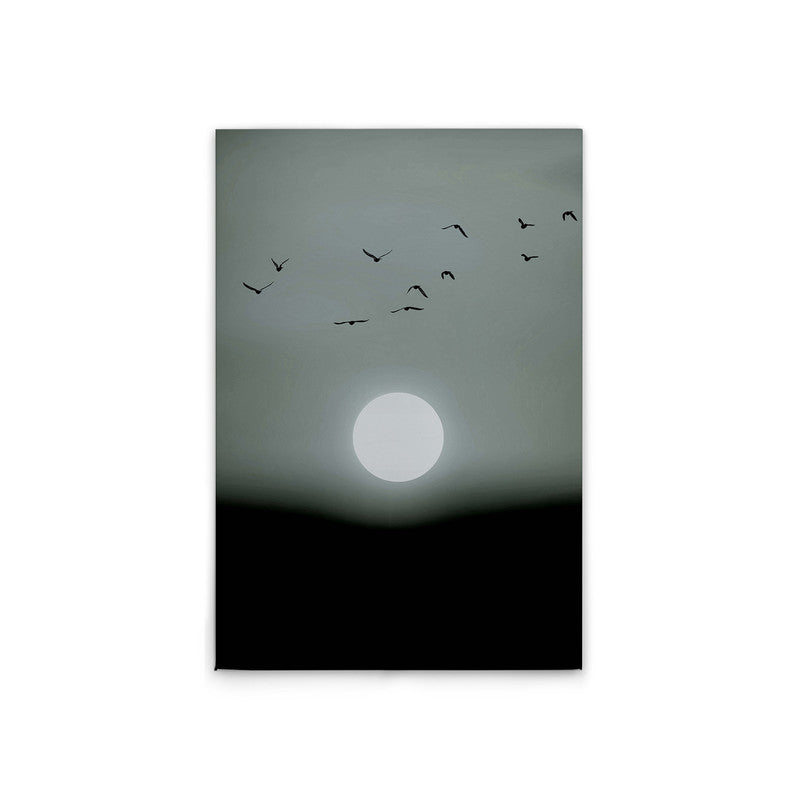 WinterLights