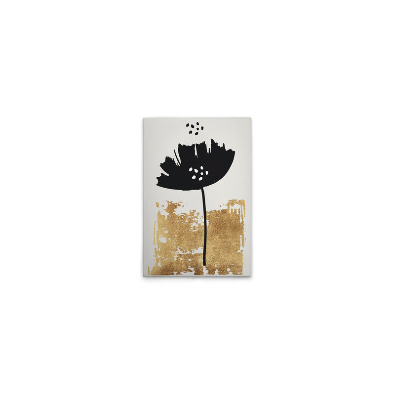 BlackPoppy