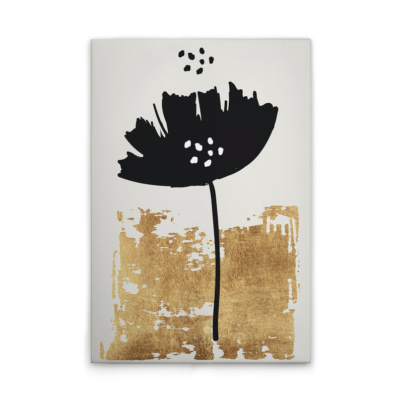 BlackPoppy