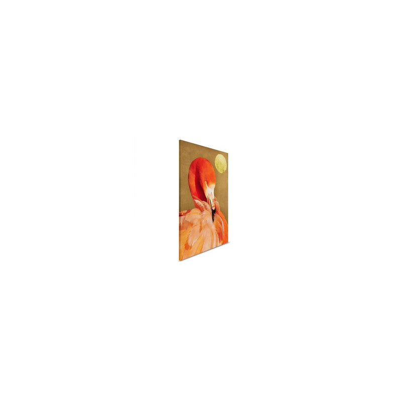 FlamingoInSun