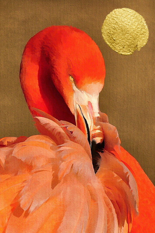 FlamingoInSun