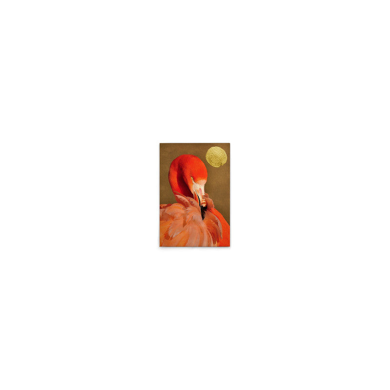 FlamingoInSun