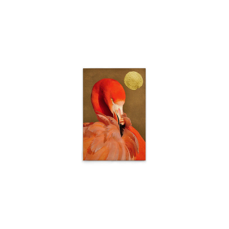 FlamingoInSun