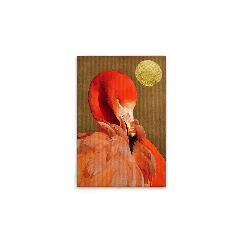 FlamingoInSun