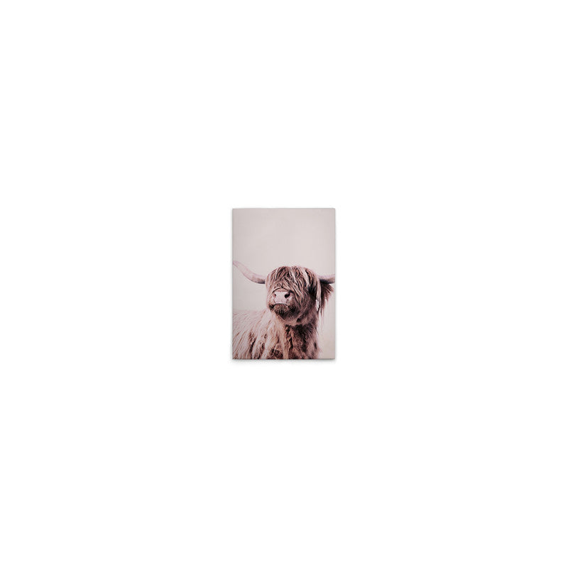 HighlandCattl1